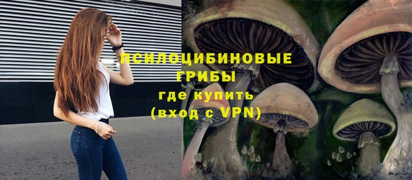 экстази Заводоуковск